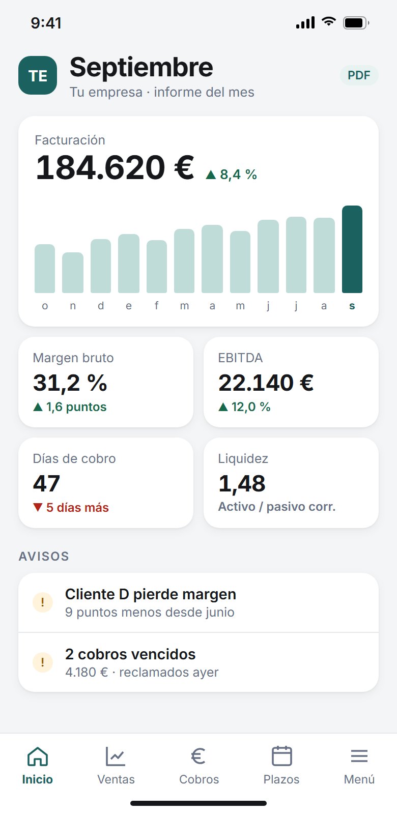 Resumen del mes en el móvil con facturación, margen, EBITDA, días de cobro y avisos